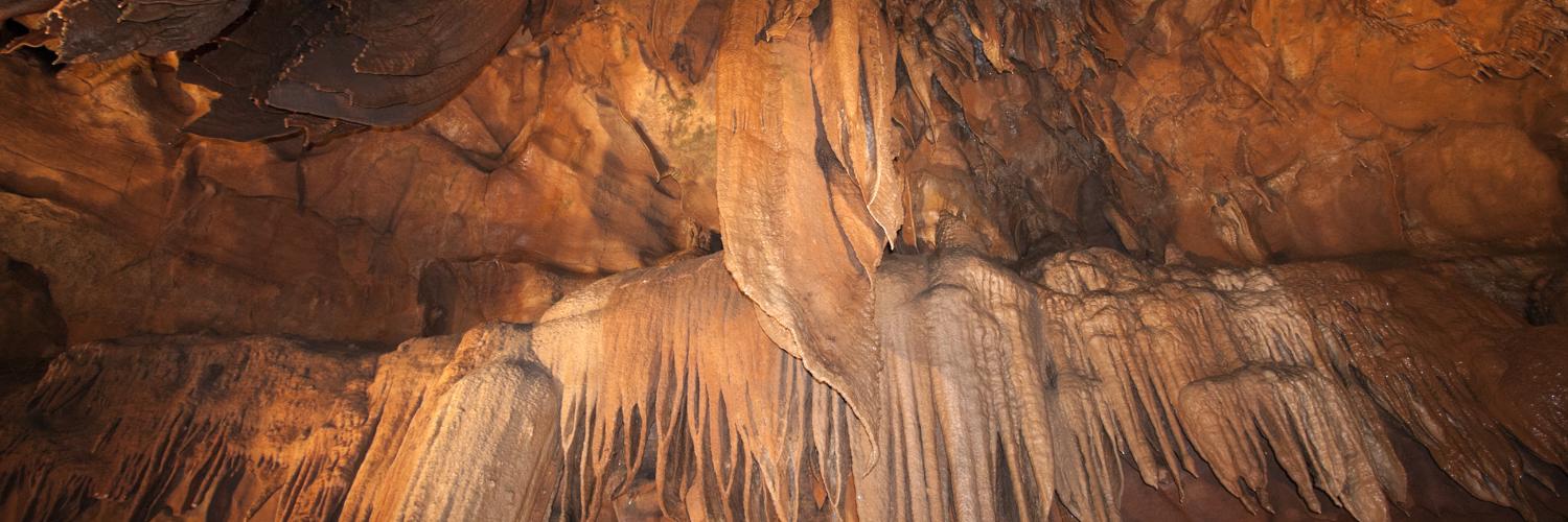 Mammoth Cave Cabin Rentals - HomeToGo