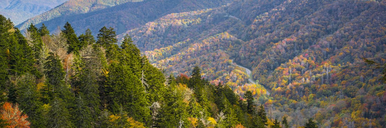 Vacation Rentals in the Smoky Mountains, NC - HomeToGo