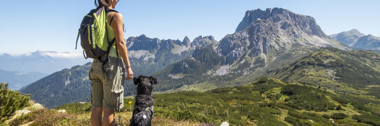 Vacanze in montagna con il cane - HomeToGo