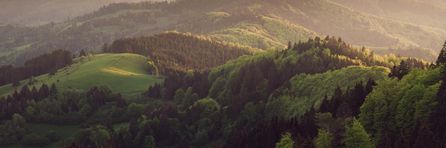 Le "Faggette Vetuste” d'Italia, Patrimonio Unesco - CaseVacanza.it