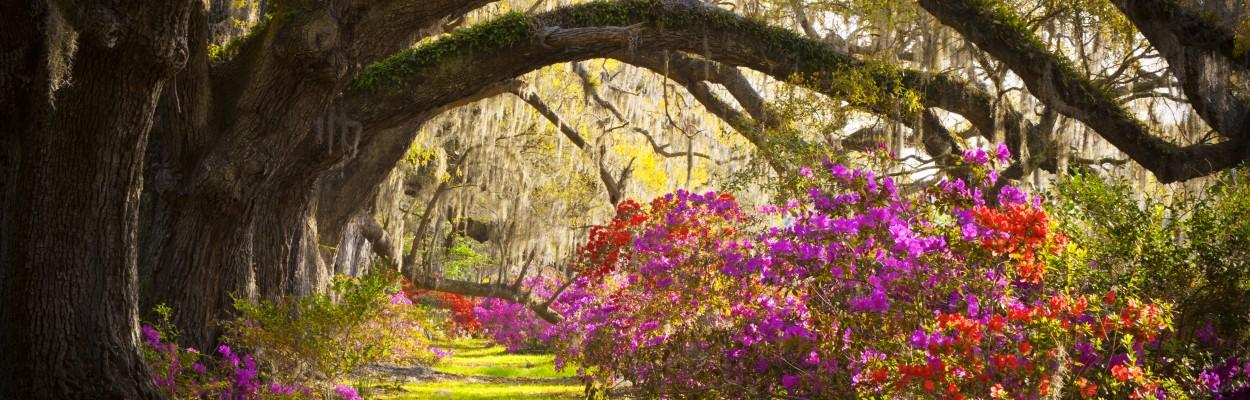 10 superbes photos Instagram pour le printemps - Wimdu