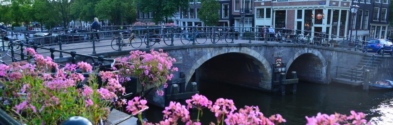 Die schönsten Gegenden Amsterdams erkunden - Wimdu