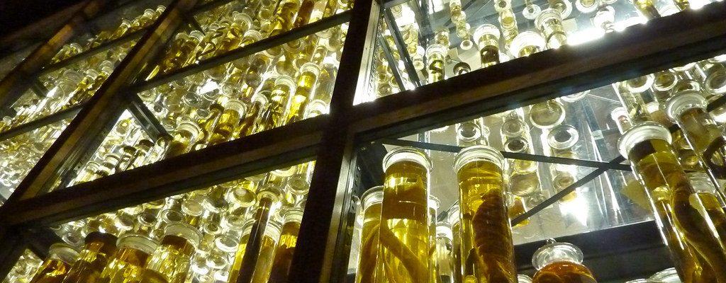 Geheimtipps Archives - Wimdu