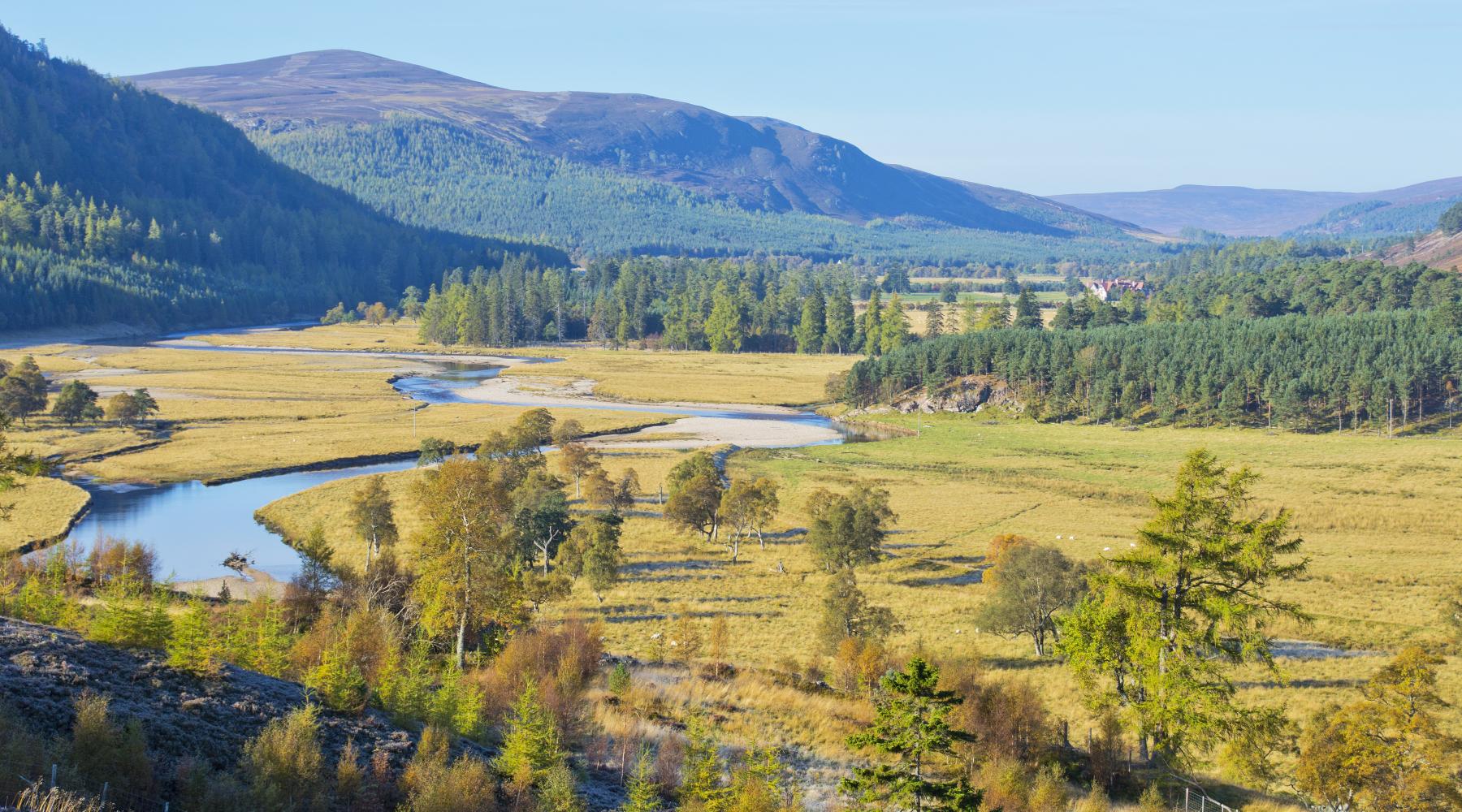 The countryside around Dunkeld, Scotland 