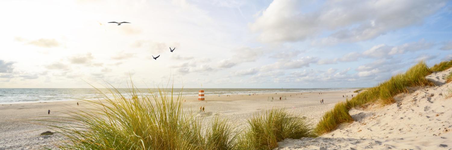 Ferienwohnungen & Ferienhäuser für Urlaub am Henne Strand - Casamundo