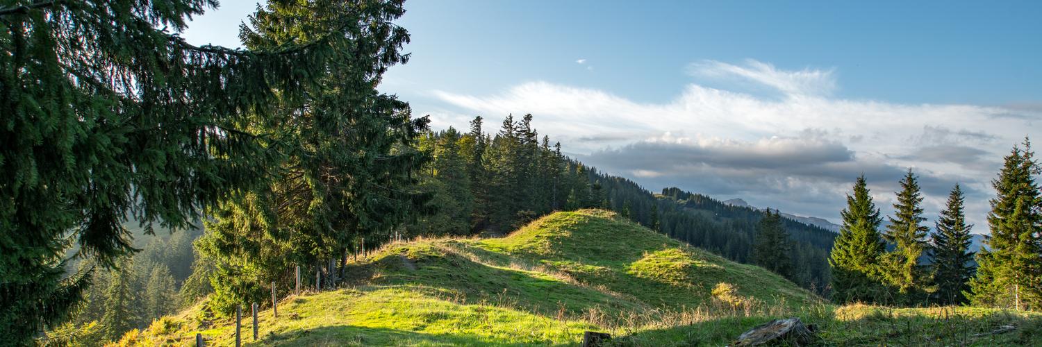Ferienwohnungen & Ferienhäuser für Urlaub in Balderschwang - Casamundo