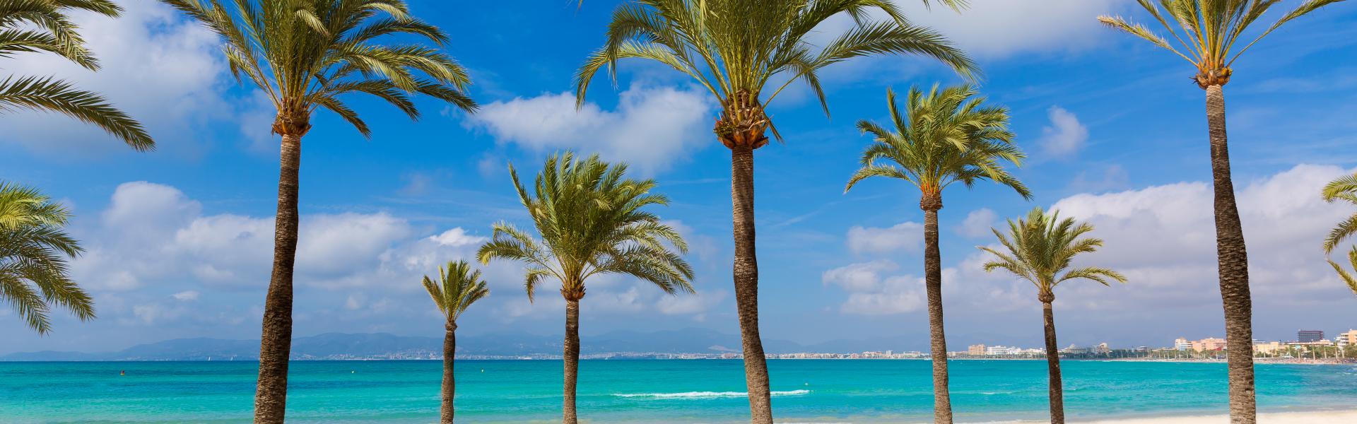 Find the perfect vacation home in El Arenal - Casamundo