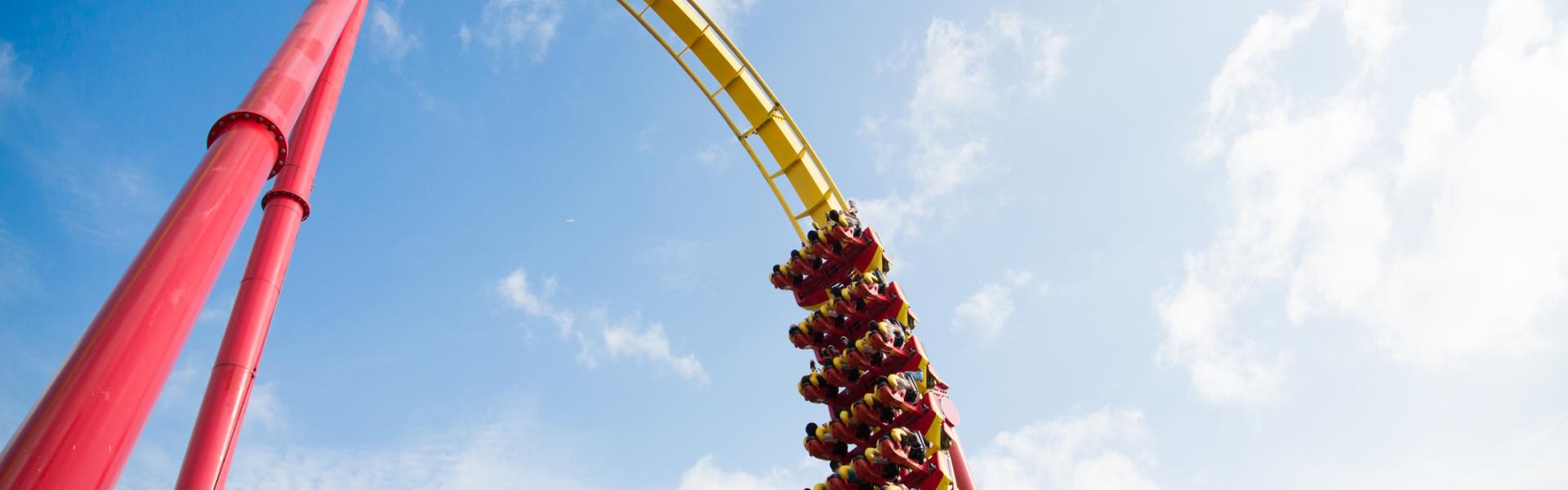 Hotels and Vacation Rentals Near Busch Gardens Tampa Bay HomeToGo