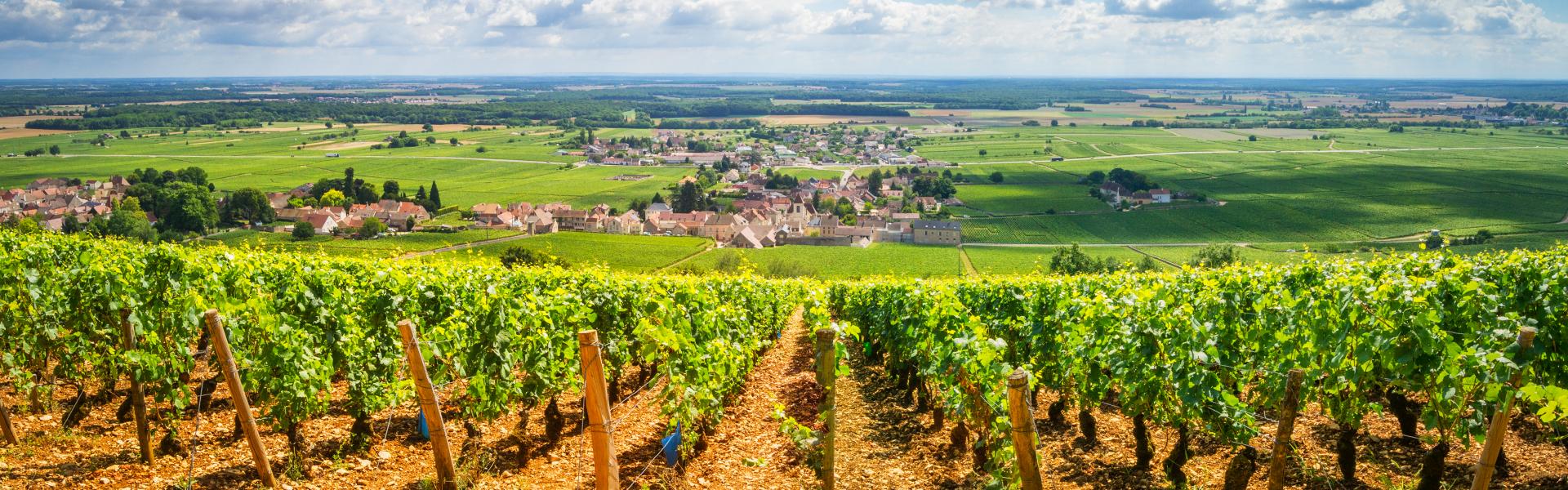 Find the perfect vacation home in Burgundy - Casamundo