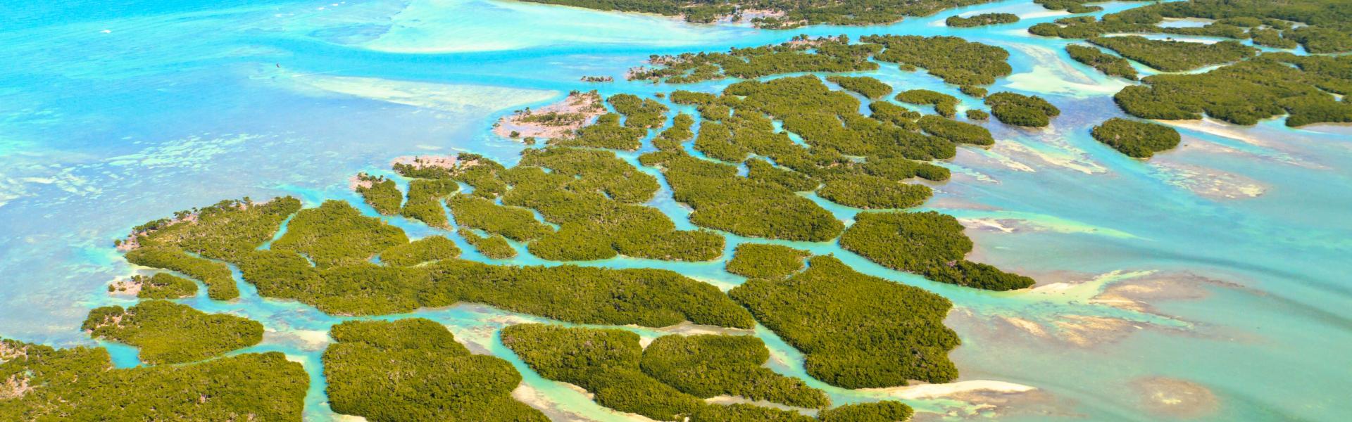 Vacation Rentals in the Florida Keys - HomeToGo