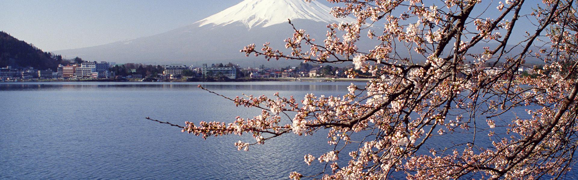 Japan Honeymoon - HomeToGo