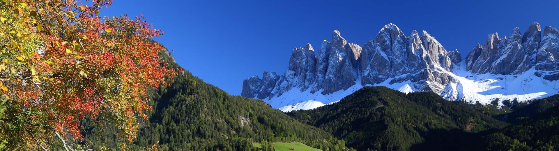 De mooiste vakantiehuizen 
in Dolomieten - EuroRelais