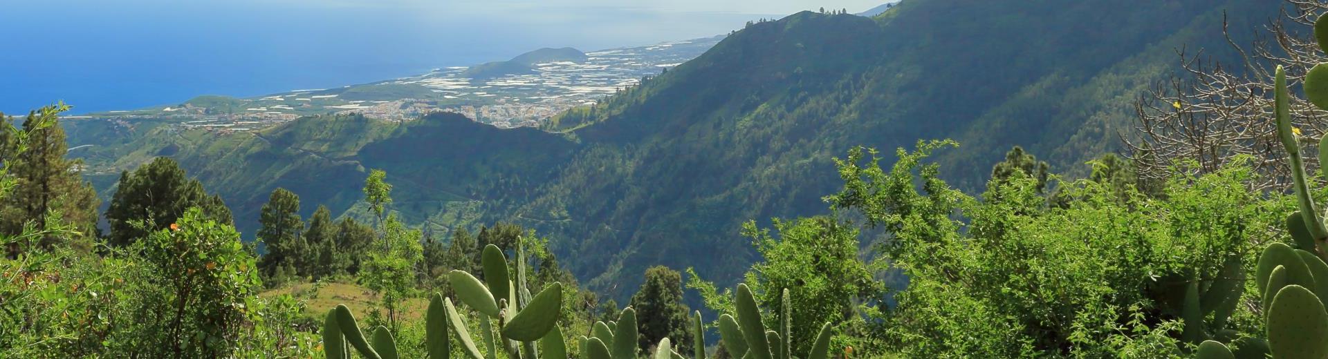 De mooiste vakantiehuizen 
in Canarische Eilanden - EuroRelais