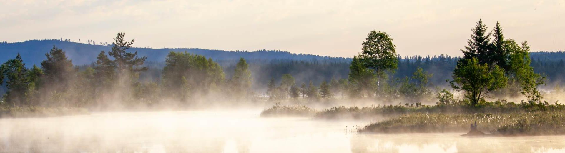 Ferienwohnungen und Ferienhäuser in Särna - EuroRelais
