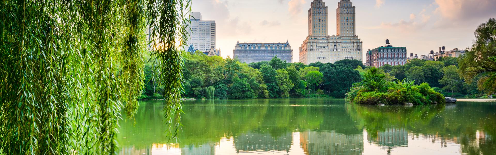 Hotels and Vacation Rentals Near Central Park - HomeToGo