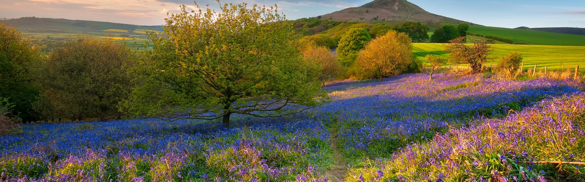 Holiday & Lettings in Redcar from £44 HomeToGo