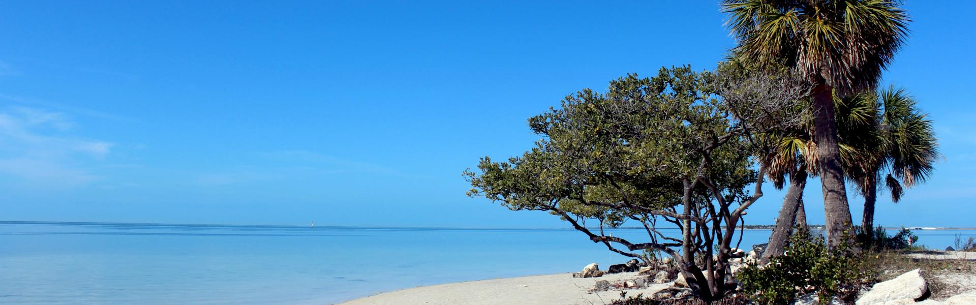 Tarpon Springs, FL Vacation Rentals from 71 HomeToGo