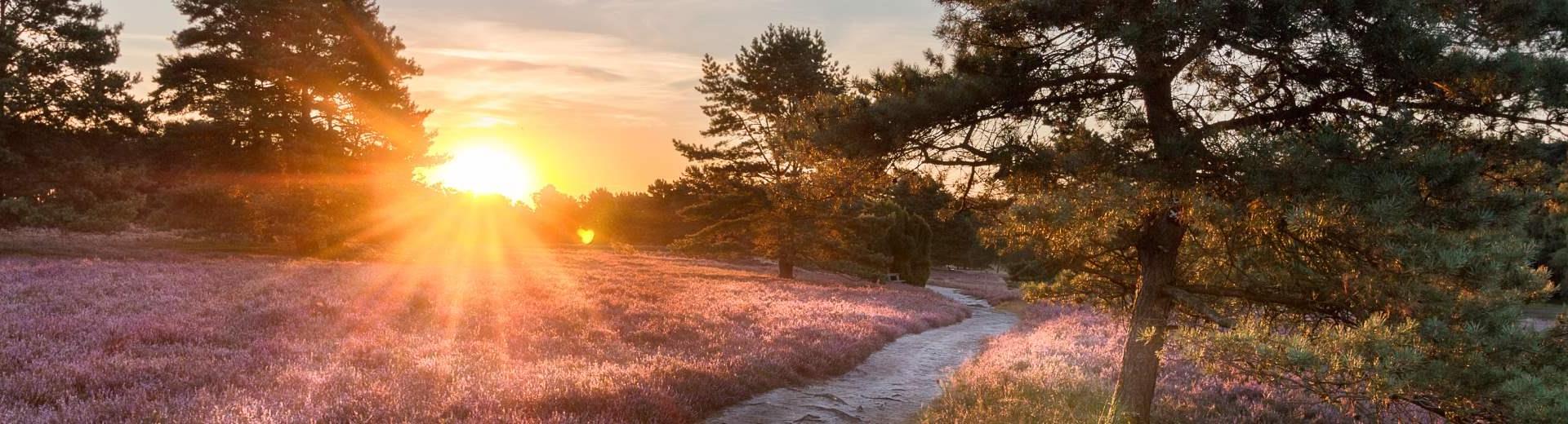 Boka semesterlägenheter Lüneburgheden - Casamundo