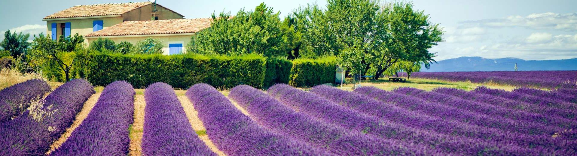 Ferienwohnungen & Ferienhäuser für Urlaub in Alpes-de-Haute-Provence - Casamundo