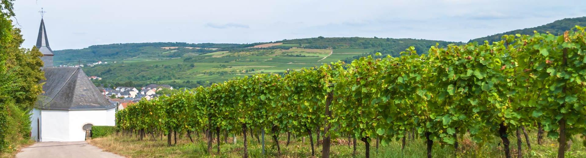 Ferienwohnungen & Ferienhäuser für Urlaub in Grevenmacher - Casamundo