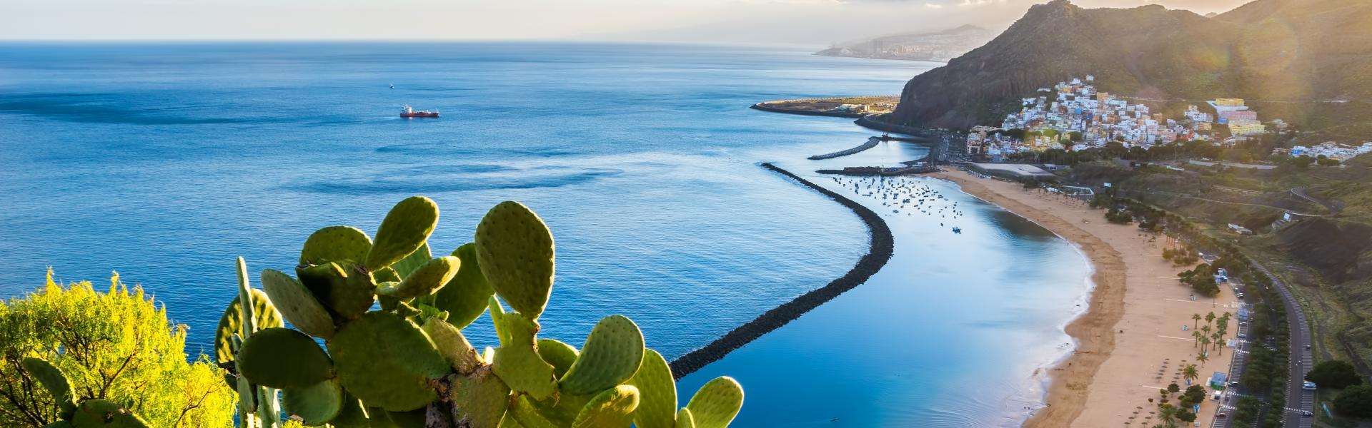 Feriehus & leiligheter Tenerife - HomeToGo