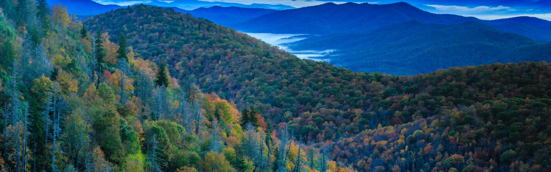 Top Destinations for a Weekend Getaway in North Carolina - HomeToGo