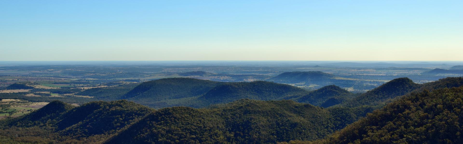 are dogs allowed at bunya mountains