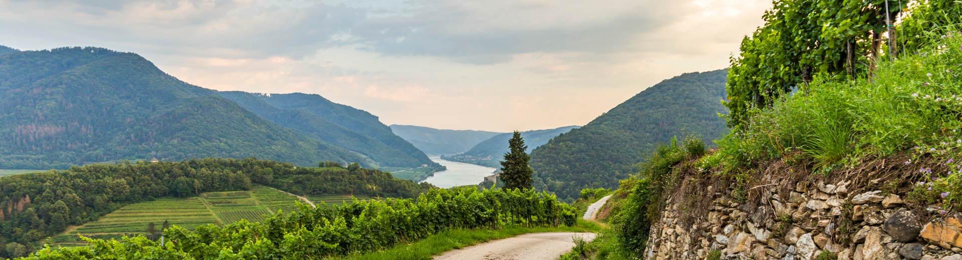 De mooiste vakantiehuizen 
in Champagne-Ardennen - EuroRelais