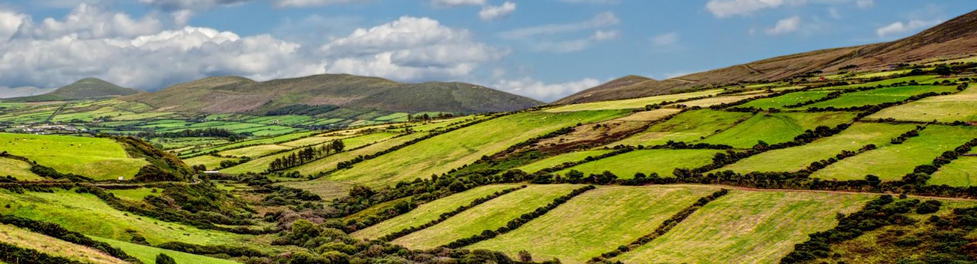 Vakantiehuis Belfast - vier vakantie in Noord-Ierland - EuroRelais