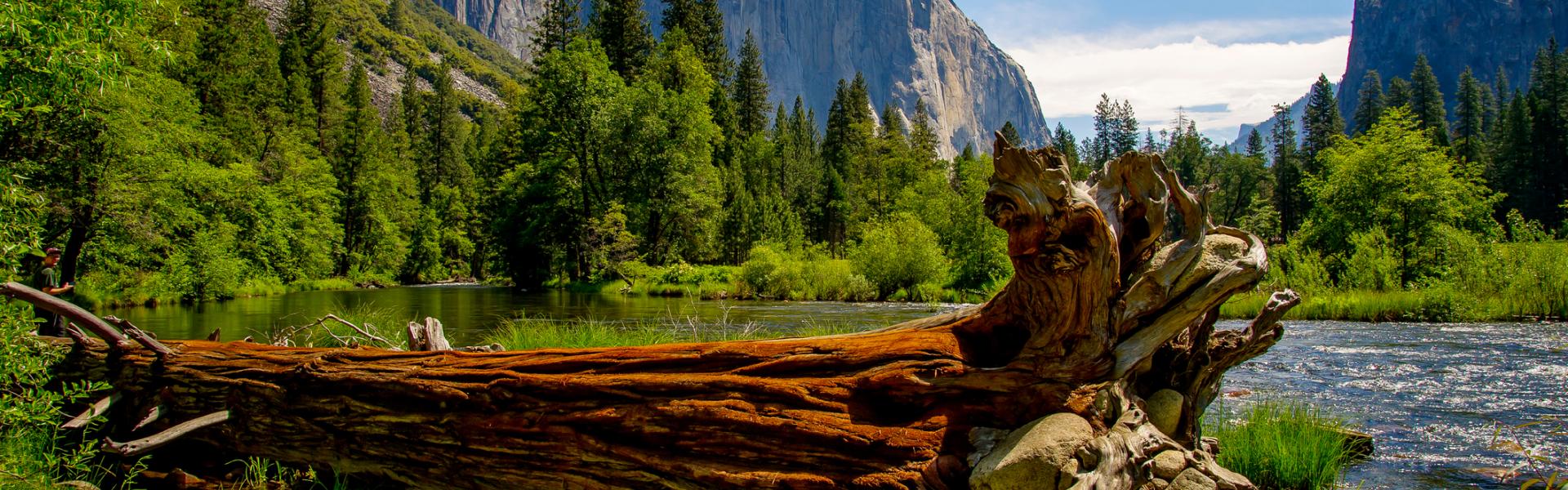 Yosemite West Vacation Rentals - HomeToGo