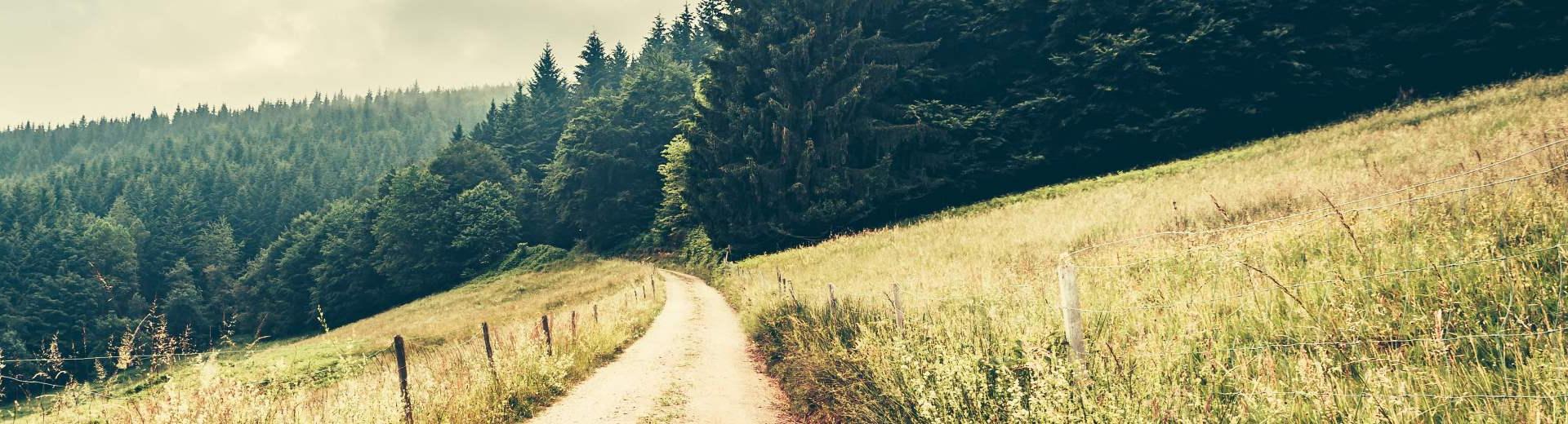 Ferienwohnungen & Ferienhäuser für Urlaub in Merbelsrod - Casamundo