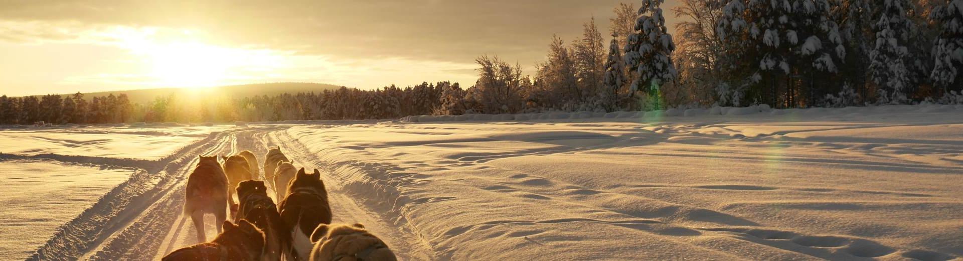 Ferienwohnungen & Ferienhäuser für Urlaub im Lappland - Casamundo