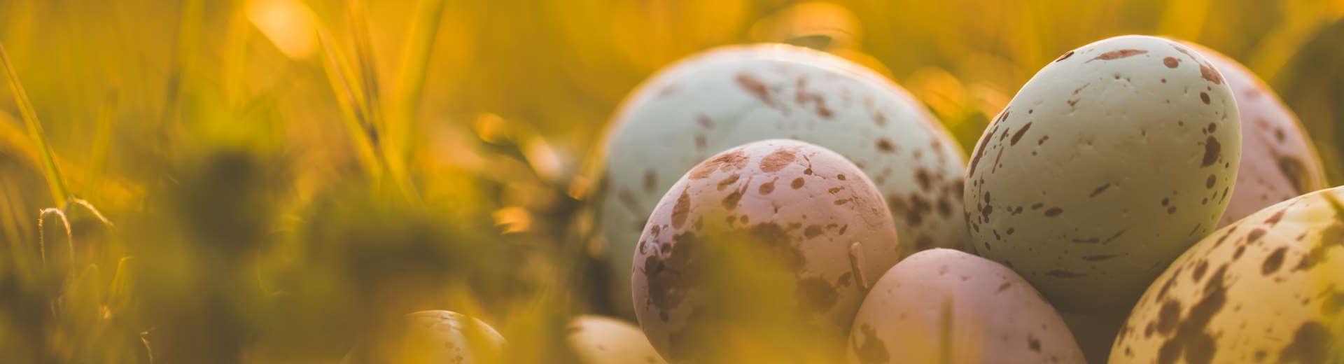 Ferienhäuser & Ferienwohnungen über Ostern in Spanien | Casamundo - Casamundo
