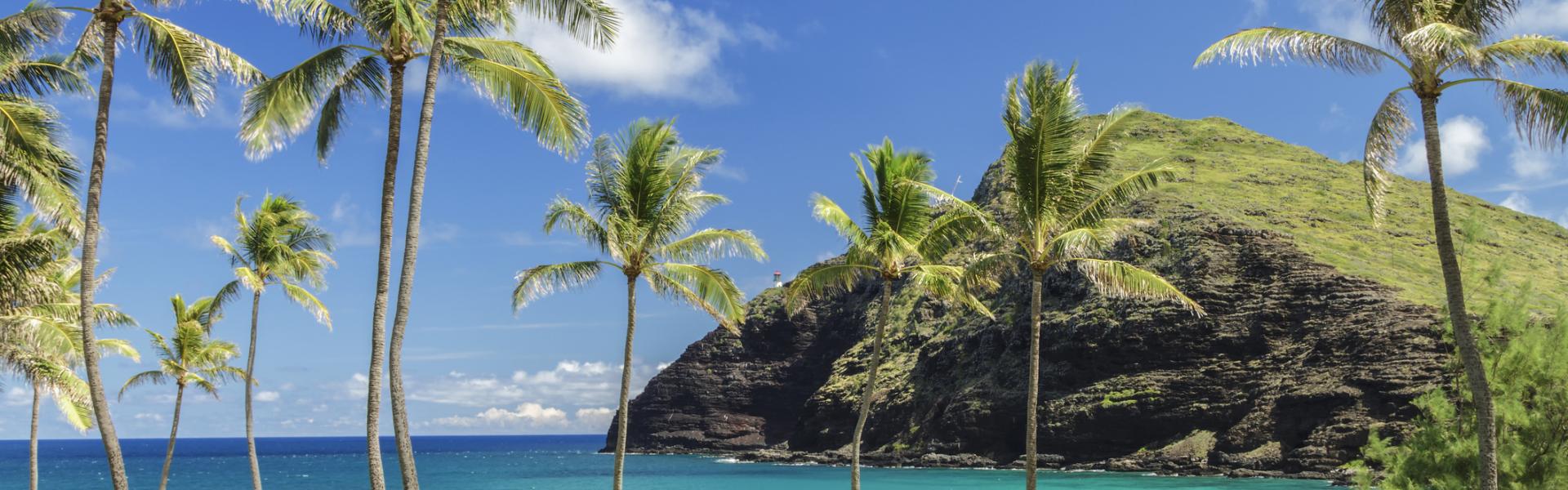 Ferienwohnungen und Ferienhäuser auf Oahu - HomeToGo