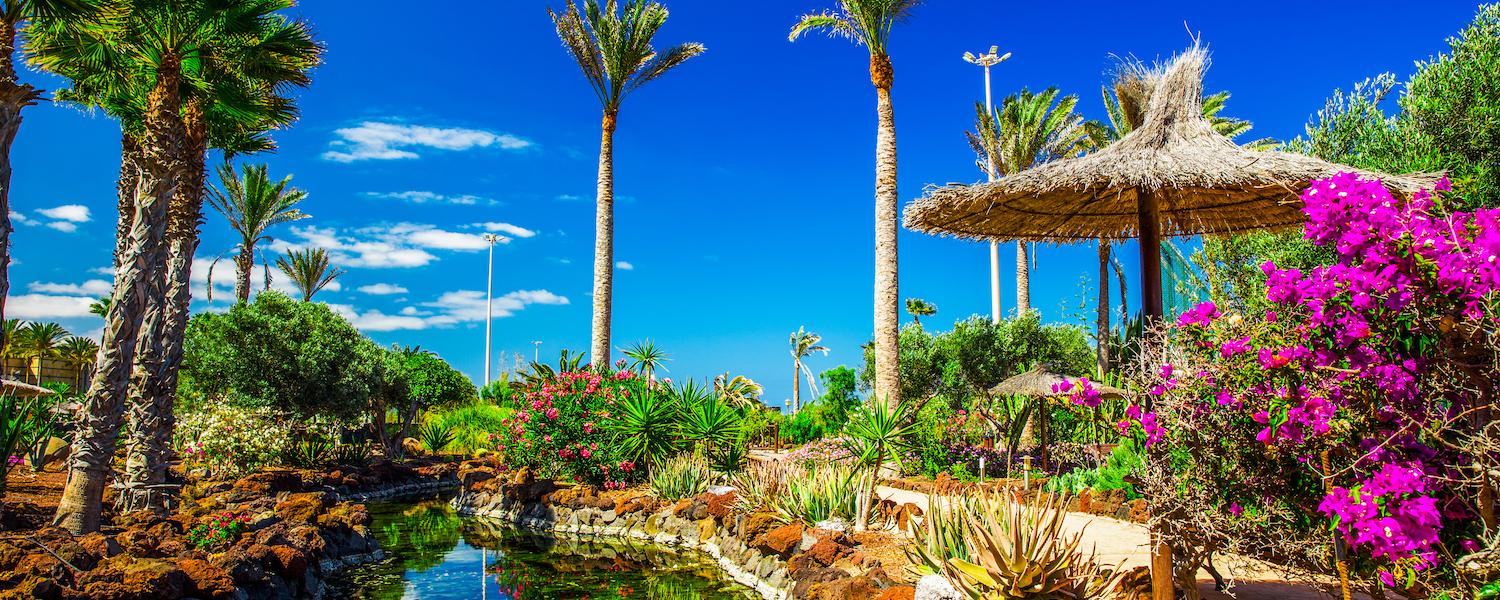Apartamentos y alojamientos vacacionales en Fuerteventura - Casamundo