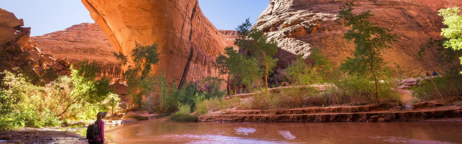 Accommodation in Zion National Park - HomeToGo