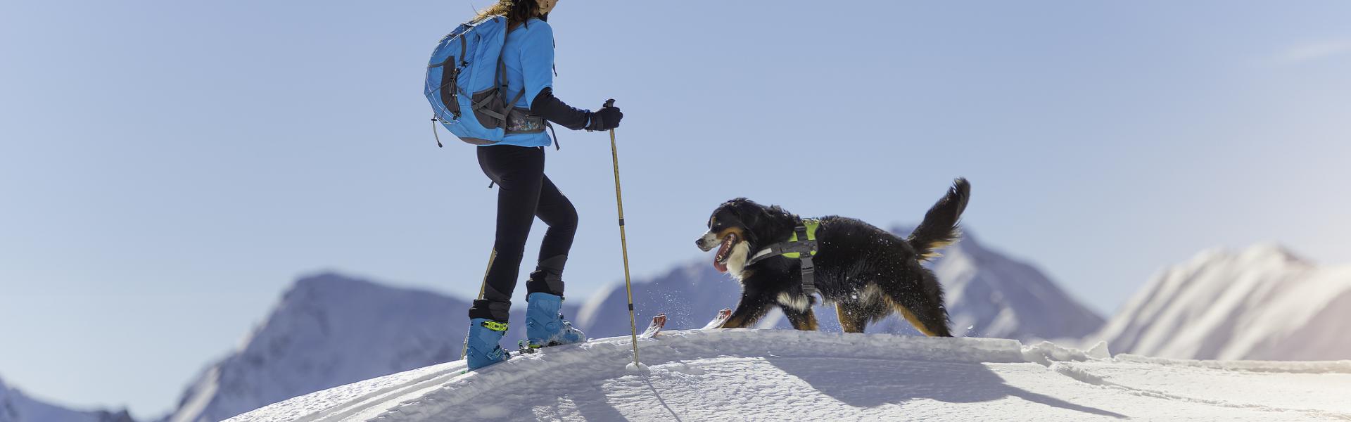 Skiurlaub mit Hund in Südtirol - HomeToGo