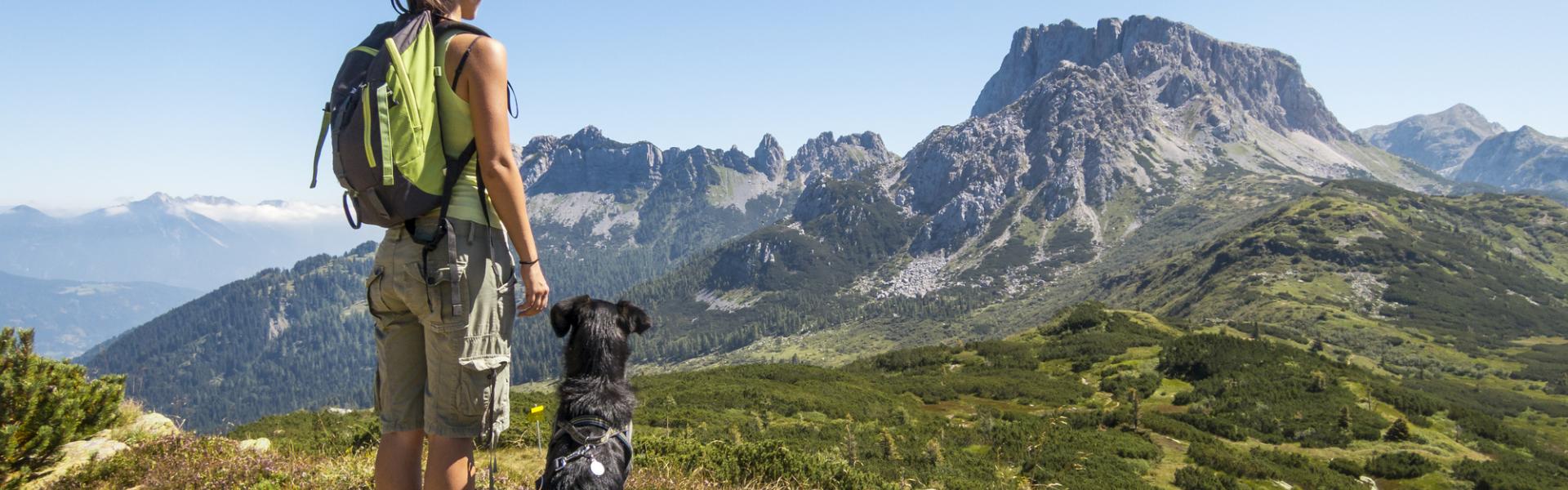 Vacanze in montagna con il cane - HomeToGo