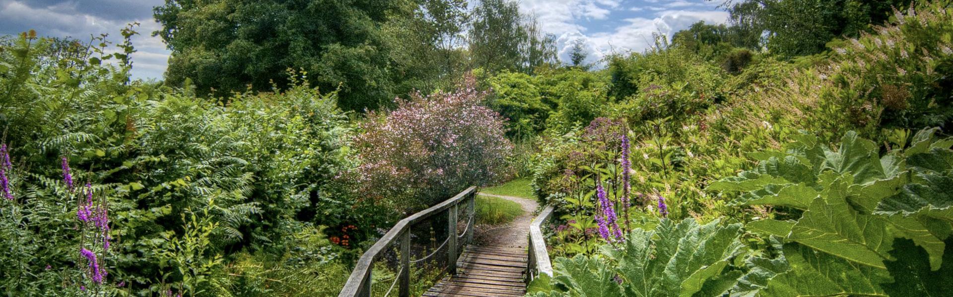 A walkway through Furzey Gardens