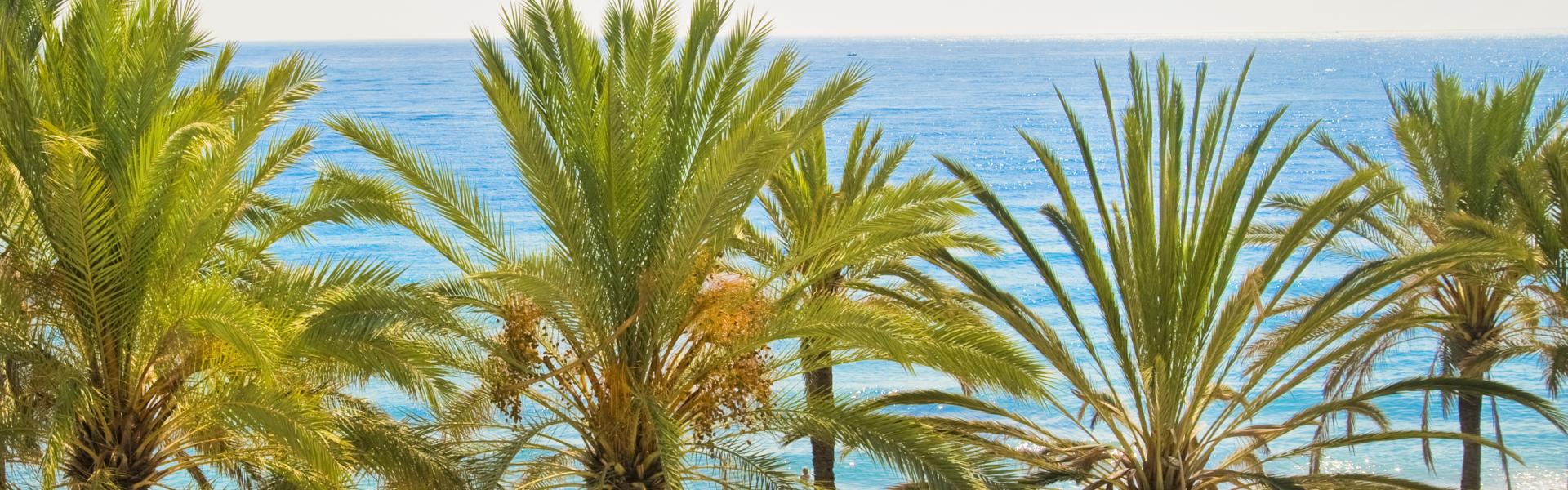 Case vacanze e appartamenti in Costa del Sol in affitto - CaseVacanza.it