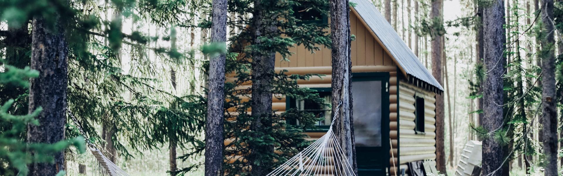 wooden house with hammock attached on tree