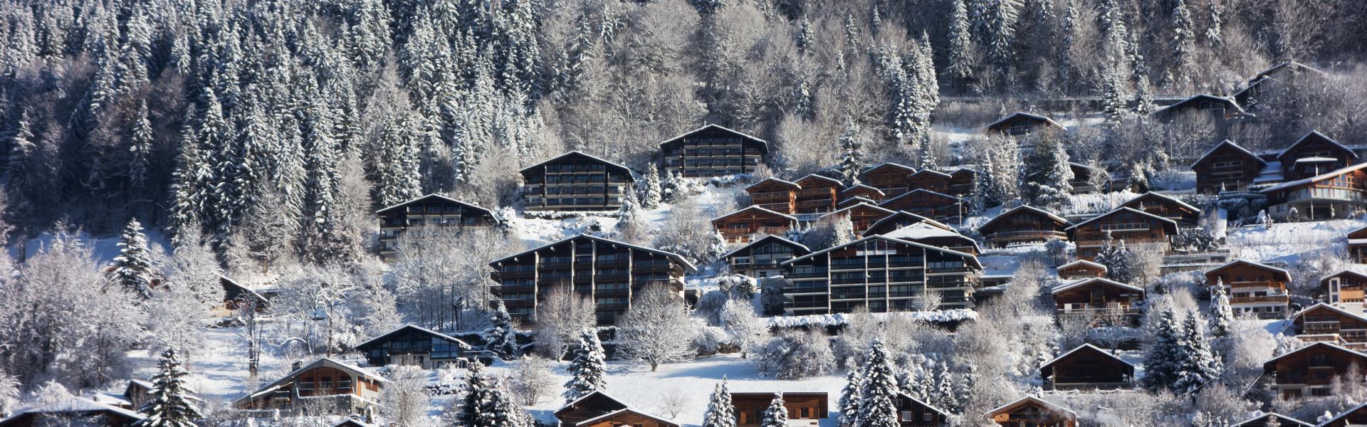 Ski chalets covered in snow on the side of the mountains above Morzine. Snow covered forest behind.