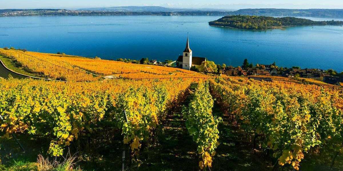 Urlaub am Neuenburgersee mit Ferienwohnung oder Ferienhaus - e-domizil