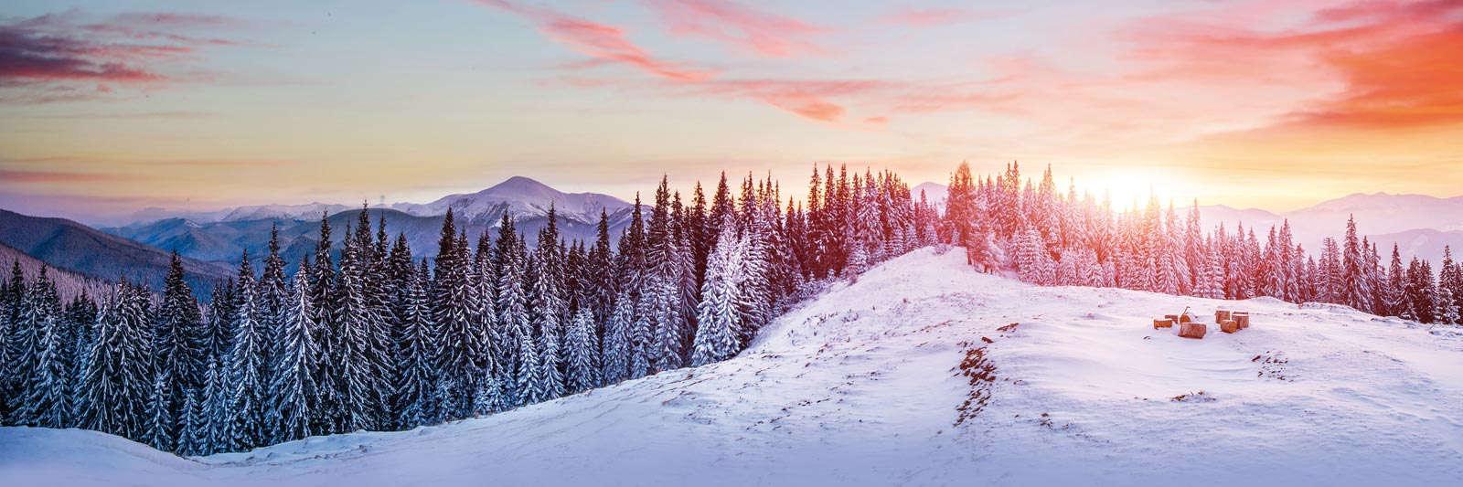 252 Ferienwohnungen und Ferienhäuser in Hahnenklee-Bockswiese - tourist-online.de