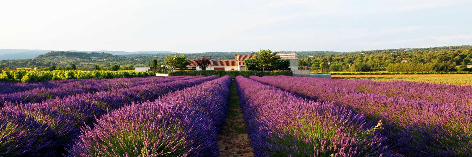 24 Ferienwohnungen und Ferienhäuser in Carnoux En Provence - tourist-online.de