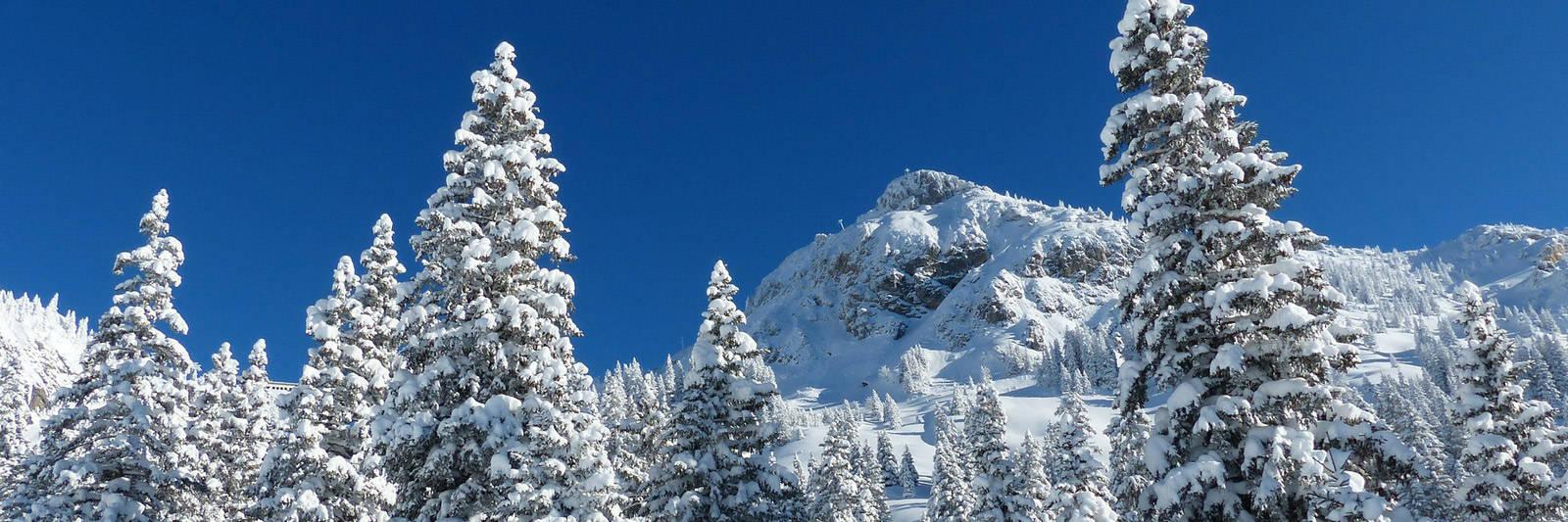 791 Ferienwohnungen und Ferienhäuser in Obergurgl - tourist-online.de