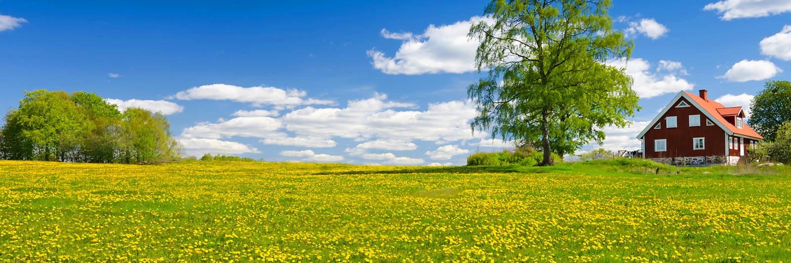 4.855 Ferienwohnungen und Ferienhäuser in Schweden - tourist-online.de