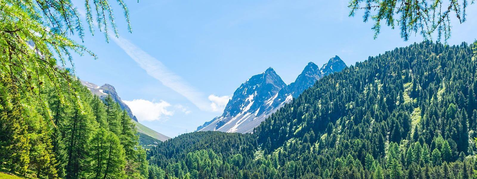Ferienwohnungen und Ferienhäuser in Valata (Obersaxen) - e-domizil
