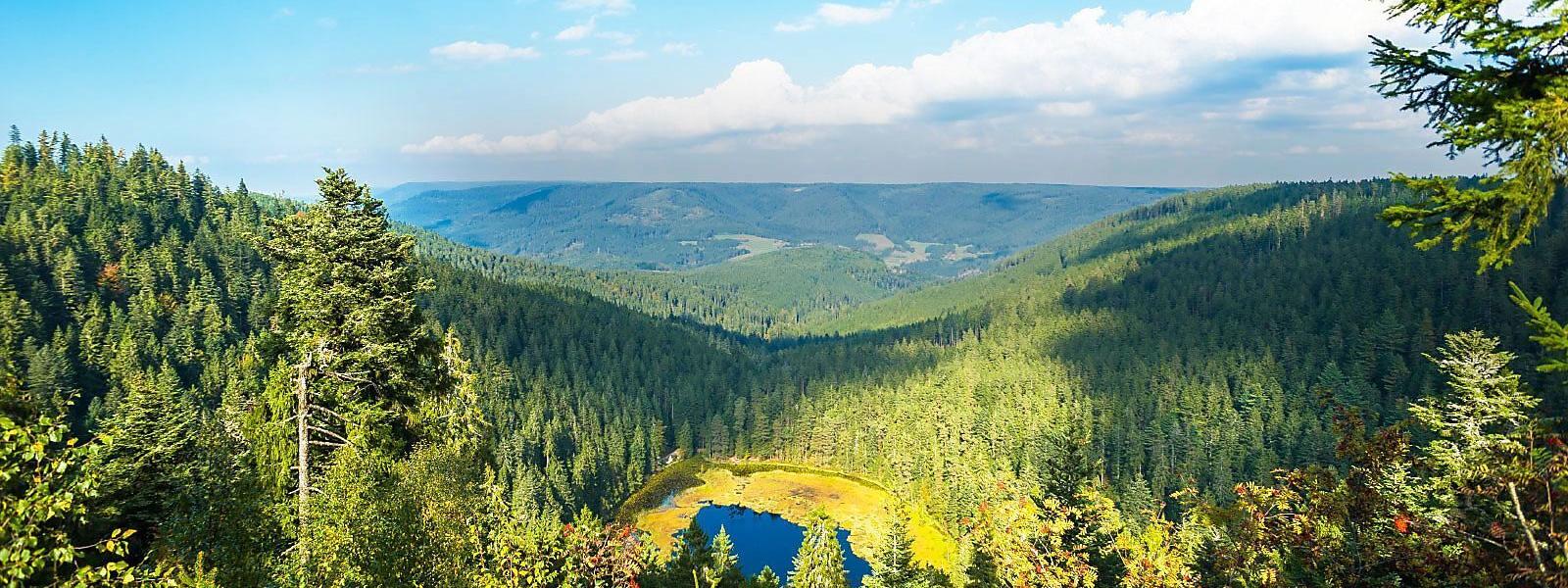 Ferienwohnung und Ferienhaus am Schluchsee - e-domizil