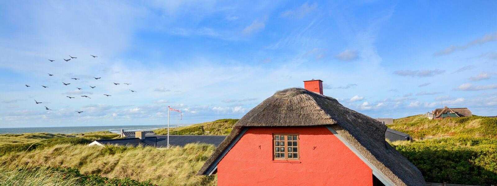 Reetdachhaus in Jütland mit Meer im Hintergrund